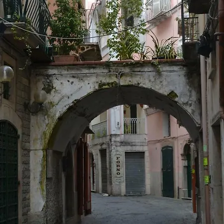 Vico Xiii *