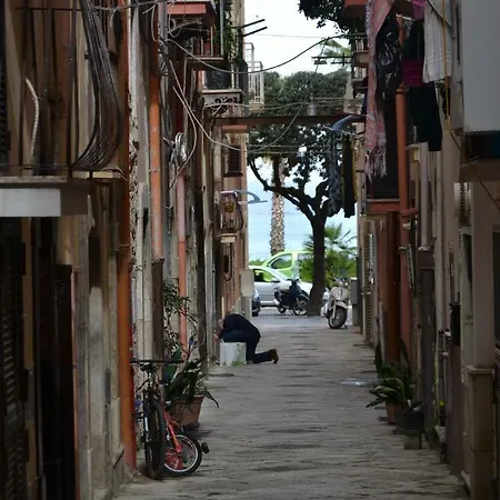 Vico Xiii